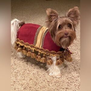 SEW DOGGONE CREATIVE Footstool/Ottoman Dog costume